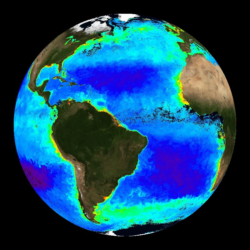Chlorophyll Concentrations Along The California Coast in 2016